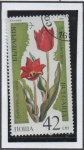 Stamps Bulgaria -  Plantas en peligro: Tulipanes