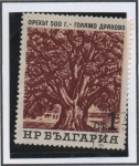 Stamps Bulgaria -  Viejo Nogal en Golemo