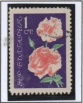 Sellos de Europa - Bulgaria -  Rosas