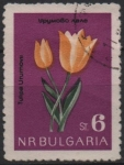 Stamps Bulgaria -  Flores: Tulipanes