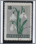 Sellos de Europa - Bulgaria -  Flores:  Campanilla d' Febrero