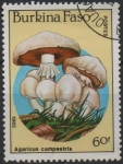 Stamps Burkina Faso -  Hongos: Agaricus Campestris