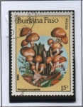 Sellos de Africa - Burkina Faso -  Hongos: Pholiota mutabilis