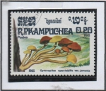 Stamps Cambodia -  Hongos: Gymnopilus