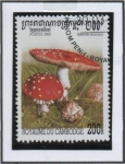 Sellos de Asia - Camboya -  Hongos: Amanita muscate