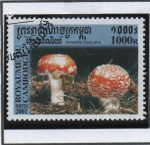 Stamps Cambodia -  Hongos: Amaita muscaria