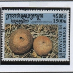 Stamps Cambodia -  Hongos: Lycoperdon umbrinu