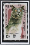 Stamps Cambodia -  Gatos Domesticos