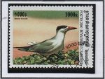 Stamps Cambodia -  Sterna Hirundo