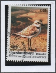 Stamps Cambodia -  Charadrius