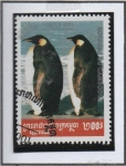 Stamps Cambodia -  Pinguinos: Aptenodytes