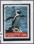 Stamps Cambodia -  Pinguinos: Spheniscus