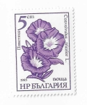 Sellos del Mundo : Europe : Bulgaria : Convolvulus tricolor