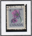 Stamps Canada -  Flores: Hepatica