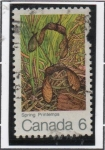 Stamps Canada -  Primavera Alas d' arce 