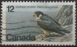 Stamps Canada -  Alcon peregrino