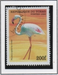 Stamps Chad -  Pajaros: Phoenicopterus ruber