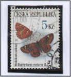 Stamps Czech Republic -  Mariposas Protegidas: Euphydryas matuma