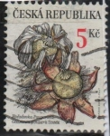 Stamps Czech Republic -  Hogos: Geastrum pouzaril