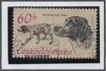 Stamps Czechoslovakia -  Perros d' Caza: Pointer