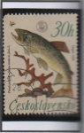 Stamps Czechoslovakia -  Peces: Trucha Comun