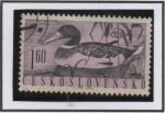 Stamps Czechoslovakia -  Pajaros:  Pato