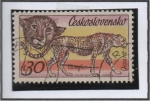 Stamps Czechoslovakia -  Gepardo