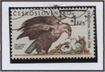 Sellos de Europa - Checoslovaquia -  Haliaeetus Albicilla