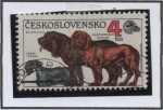 Stamps Czechoslovakia -  Terrier Checo