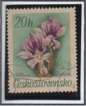 Stamps Czechoslovakia -  Orquideas