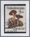 Stamps Czechoslovakia -  Cortinarium