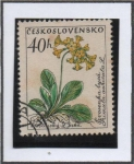 Stamps Czechoslovakia -  Flores: Primrose