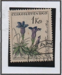 Stamps Czechoslovakia -  Flores: Gentian