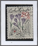 Stamps Czechoslovakia -  Flores: Crocus