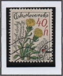 Stamps Czechoslovakia -  Alpine Hawkeed