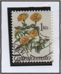 Stamps Czechoslovakia -  Zina elegans