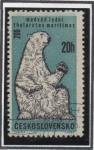 Stamps Czechoslovakia -  Animales d' Zoo: Oso Polar