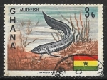 Stamps Ghana -  Peces - African Lungfish