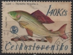 Stamps Czechoslovakia -  Timalos