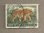 Stamps India -  Tigre