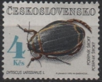 Stamps Czechoslovakia -  Escarabajos: Dyticus Latis