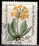 Stamps Germany -  Sellos de Bienestar: Flores alpinas en peligro de extinción.