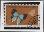 Sellos de Africa - Rep�blica del Congo -  Mariposas: Timon Lolaus