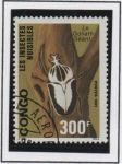 Stamps Republic of the Congo -  Incestos: Escarabajo  Goliath