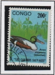 Stamps Republic of the Congo -  Patos: Anas Clypeata