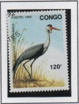 Sellos de Africa - Rep�blica del Congo -  Caerunculatus Bugeranus