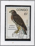 Sellos de Africa - Rep�blica del Congo -  Aves d' Presa: Charognard