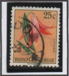 Stamps Belgium -  Flores: Littonia