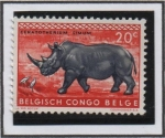 Stamps Belgium -  Reinoceronte