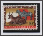 Stamps Belgium -  Eland y Cebras